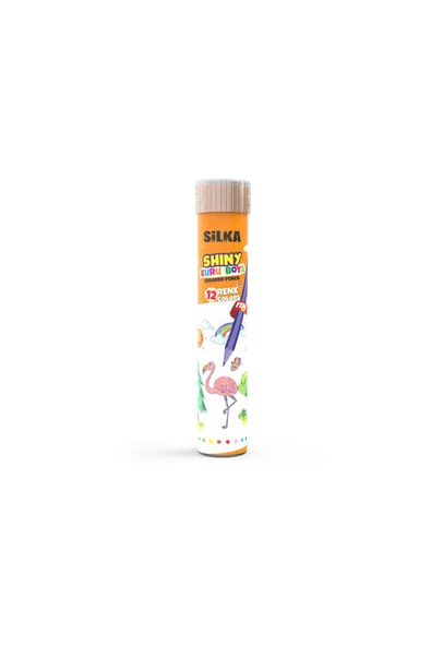 12'li shiny tüp kuru boya kalemi