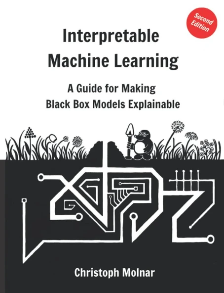 Interpretable Machine Learning: A Guide For Making Black Box Models Explainable  Christoph Molnar ürün görseli 1