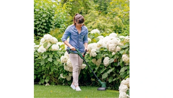 BOSCH/ F016800371 ÇİM KENAR KESME YEDEK BIÇAK (5 ADET) - Resim 3