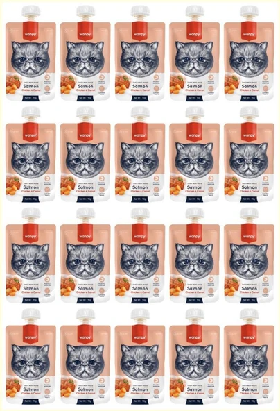 Wanpy Taze Somonlu & Tavuklu Kedi Et Ezmesi 90 Gr*20 Lİ PAKET