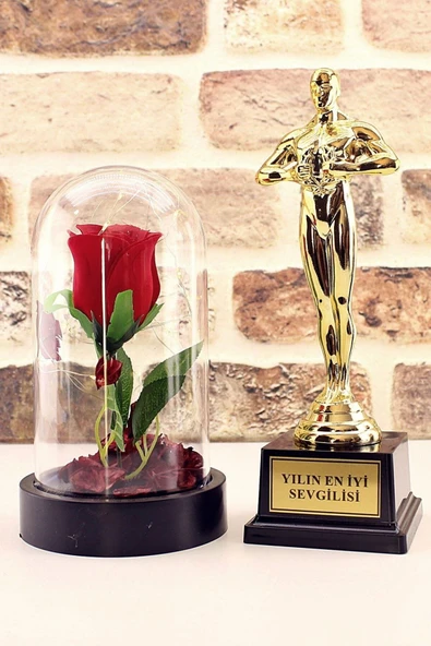 Yılın En Iyi Sevgilisi Oscar Ödülü Ve Led Işıklı Fanus Gül Seti Sevgiliye Özel Hediye