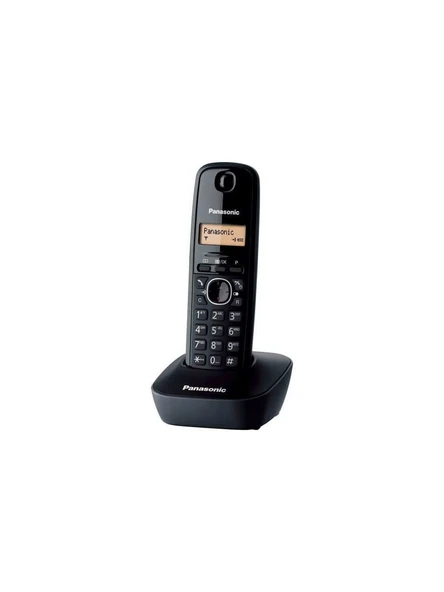 Panasonic KX-TG1611 Telsiz Telefon - 2
