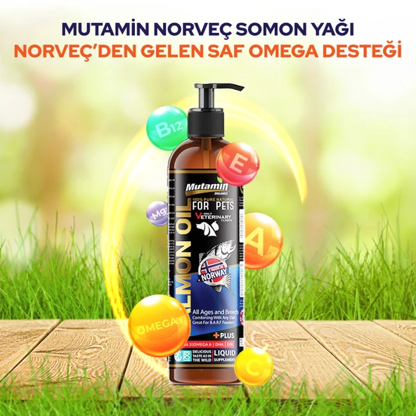Mutamin Norveç Somon Yağı 250ML - Mutamin Fabrikadan Orjinal - 3