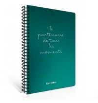 ÇINAR MOMENT'S SPİRALLİ SERT KAPAK DEFTER 17x24 ÇİZGİLİ 100 YAPRAK (55251) - 4