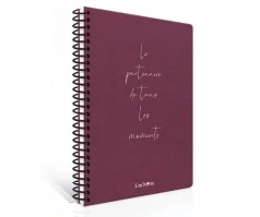 ÇINAR MOMENT'S SPİRALLİ SERT KAPAK DEFTER 17x24 ÇİZGİLİ 100 YAPRAK (55251) - 5