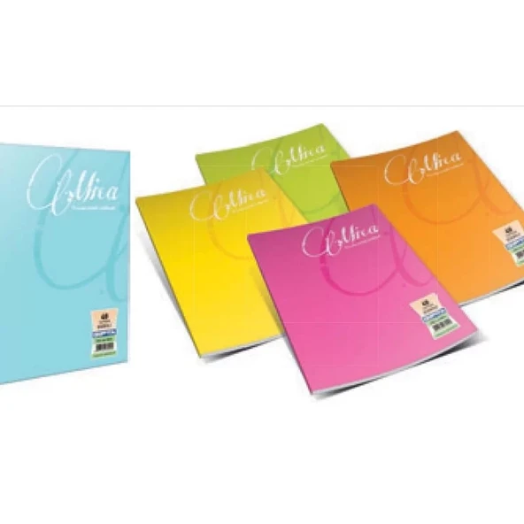 GIPTA MİCA PLASTİK KAPAK DEFTER A4 ÇİZGİLİ 100 YAPRAK (2488)