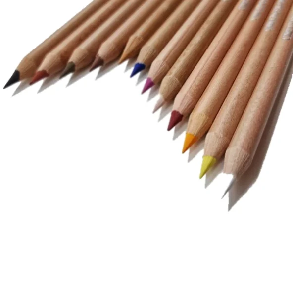 Cretacolor Artist Studio Face Sulandırılabilir Portre Çizim Seti 12li 28310 - Resim 3