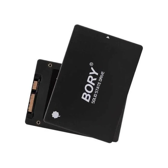 Bory 256 Gb Sata3 R500-C256G Ssd 550/500 Mbs SSD