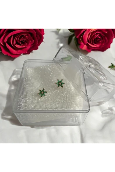 SUNA YEŞİL TAŞLI GÜMÜŞ YILDIZ MİNİ KÜPE- KUTULU - 3