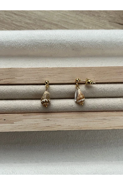 Gerçek Deniz Kabuğu Altın Kaplama Top Küpe ürün görseli