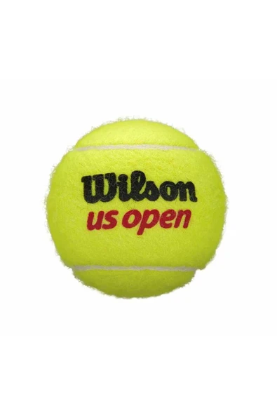 Wilson Tenis Topu US Open XD 3lü 2 kutu (WRT106200) - 2