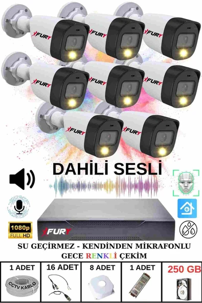 FURY 8 li Sesli Gece Renkli Görüş Güvenlik Kamerası Su Geçirmez Güvenlik Kamerası Seti 250GB ürün görseli
