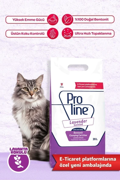 Proline Lavanta Kokulu Bentonit Kedi Kumu 20 Lt