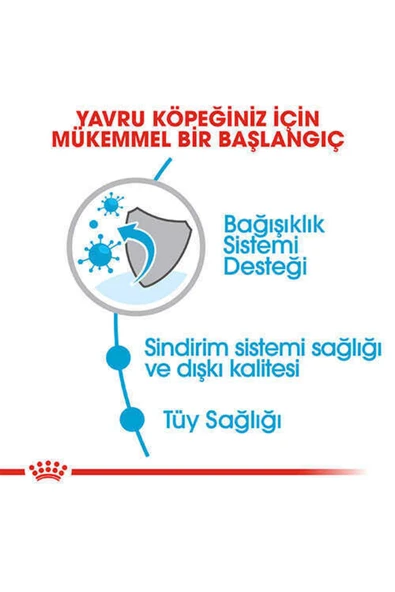 Royal Canin Mini Indoor Puppy Köpek Maması 1,5 Kg - 3