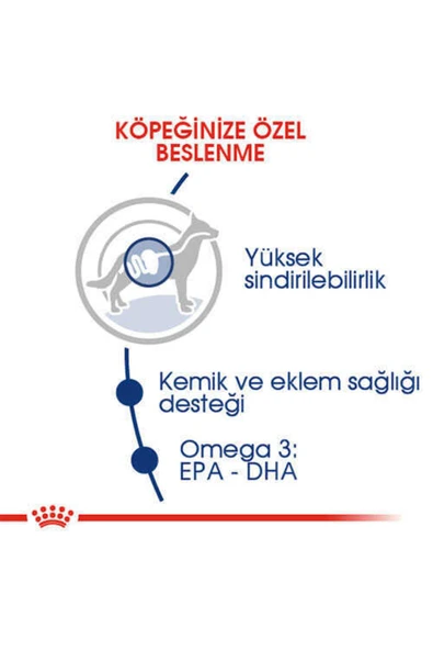 Royal Canin Maxi Adult Büyük Irk Yetişkin Köpek Maması 15kg ürün görseli