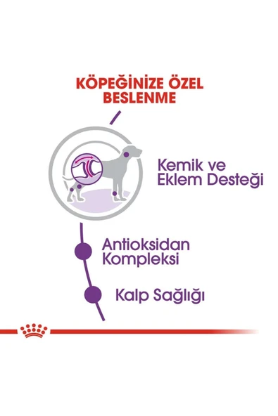 Royal Canin Giant Adult Dev Irk Köpek Maması 15 kg - Resim 6