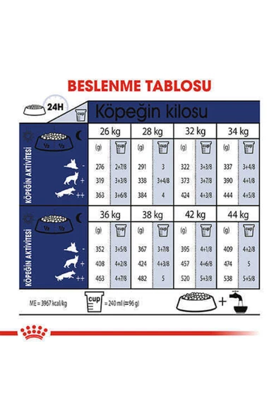 Royal Canin Maxi Adult Büyük Irk Yetişkin Köpek Maması 15kg - Resim 3