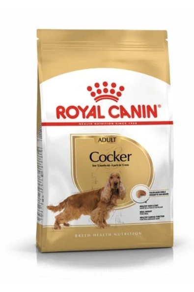 Royal Canin Cocker Irka Özel Yetişkin Köpek Maması 3 kg ürün görseli