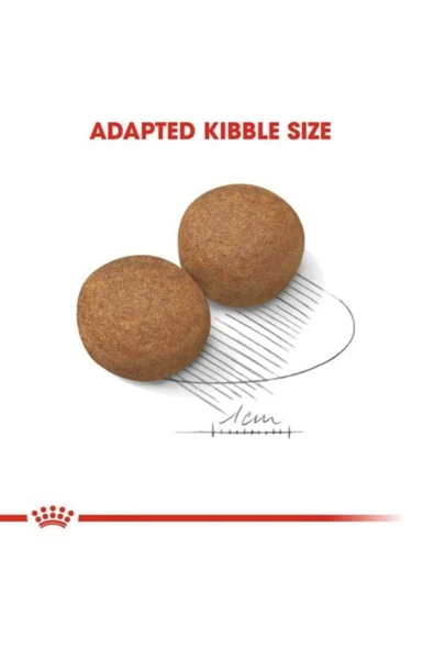 Royal Canin Maxi Adult Büyük Irk Yetişkin Köpek Maması 15kg ürün görseli