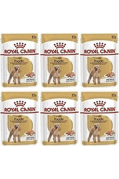 Royal Canin Poodle Adult Yetişkin Köpek Maması 3 kg - Resim 3