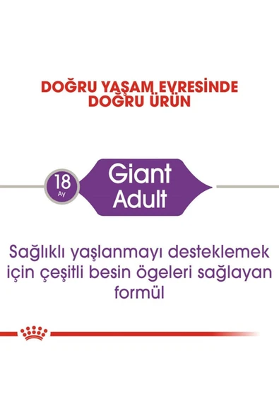 Royal Canin Giant Adult Dev Irk Köpek Maması 15 kg - Resim 5