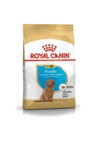 Royal Canin Puppy Poodle Küçük Irk Yavru Köpek Maması 3 kg ürün görseli