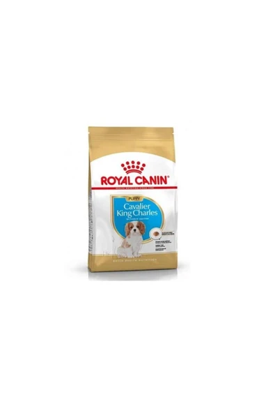 Royal Canin Cavalier King Charles Junior Yavru Köpek Maması 1,5 kg ürün görseli
