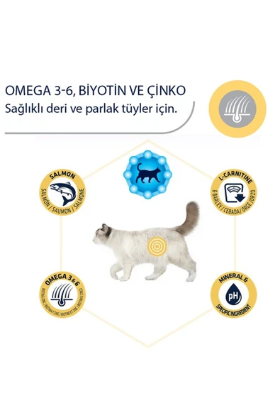 Cat Sterilized Salmon Sensitive 3kg Kısırlaştırılmış Kedi Maması - Resim 5