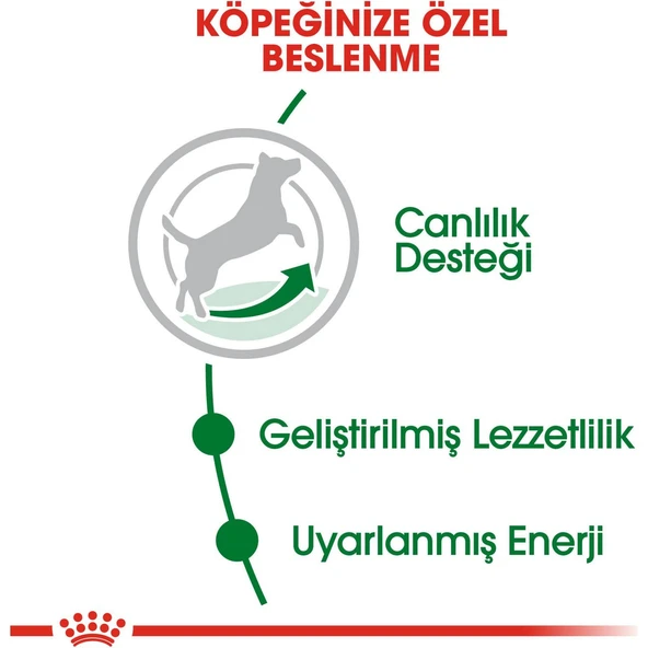 Mini Adult +8 Yaşlı Köpek Maması - 2 kg - 3