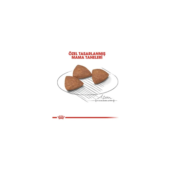 Mini Indoor Adult Yetişkin Köpek Maması 1,5 kg - 3