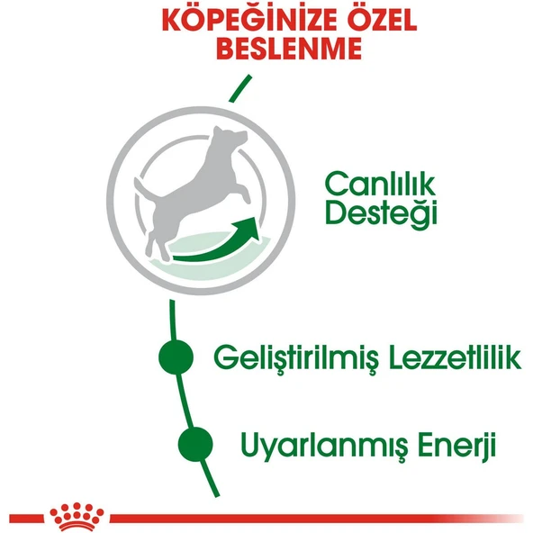 Mini Adult +8 Yaşlı Köpek Maması - 2 kg - 3