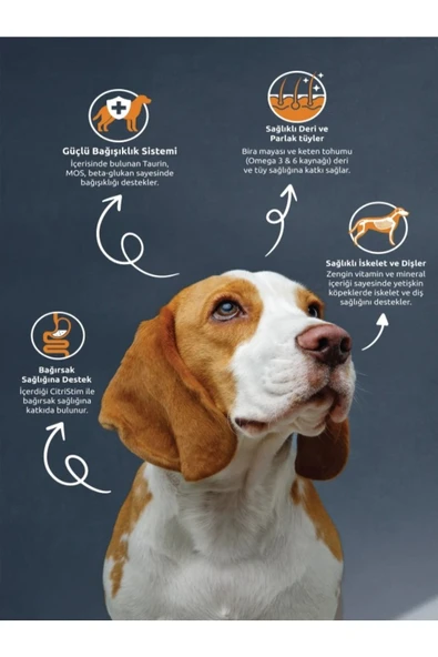 Refleks Kuzu Etli Ve Pirinçli Yetişkin Köpek Maması 15 Kg - Resim 2