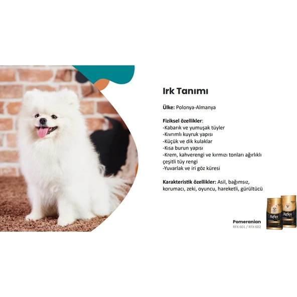 Plus Pomeranian Yetişkin Köpek Maması 2 kg - Resim 2