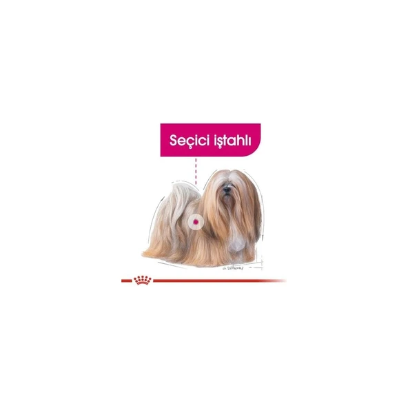 Ccn Mini Exigent Köpek Maması, 3 kg - 3