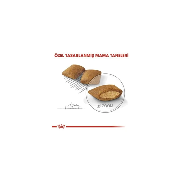 Ccn Mini Exigent Köpek Maması, 3 kg - 4