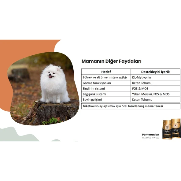 Plus Pomeranian Yetişkin Köpek Maması 2 kg - Resim 4