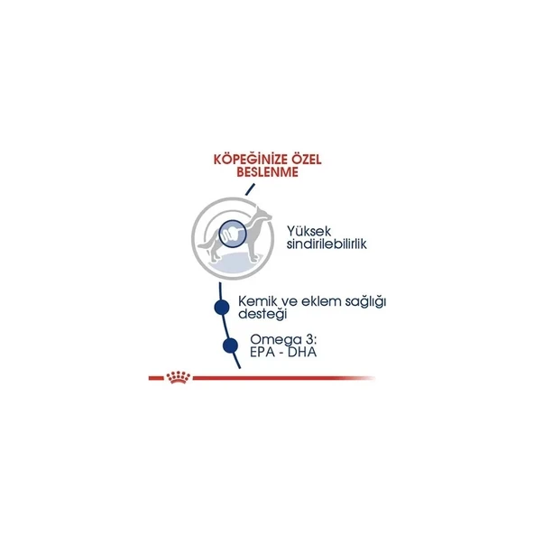 Maxi Adult Büyük Irk Yetişkin Köpek Maması 15 kg - Resim 4