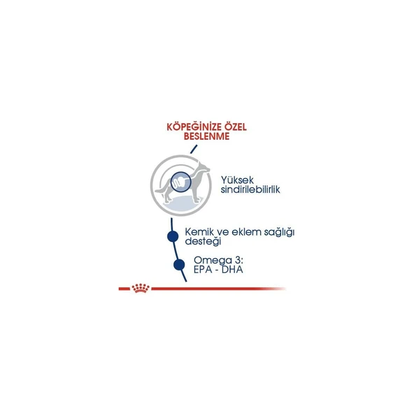 Maxi Adult Büyük Irk Yetişkin Köpek Maması 15 kg - Resim 2