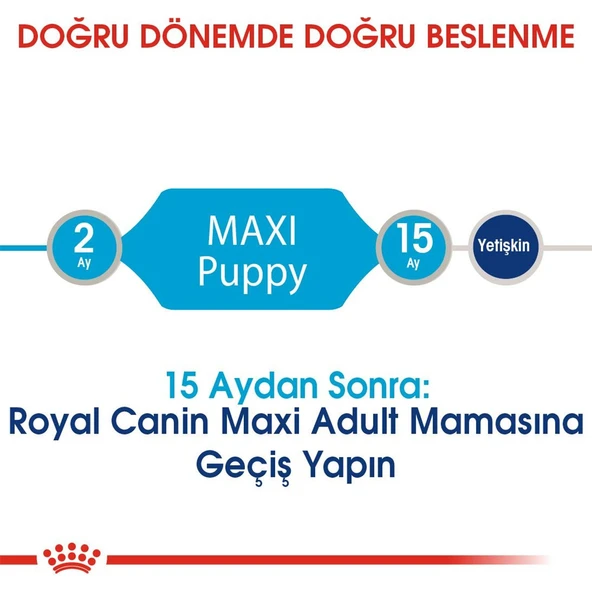 Maxi Puppy Büyük Irk Yavru Köpek Maması 15 kg - Resim 5