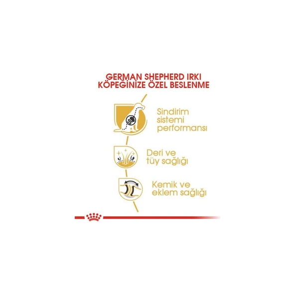 11kg German Shepherd Adult Yetişkin Köpek Maması - Resim 4