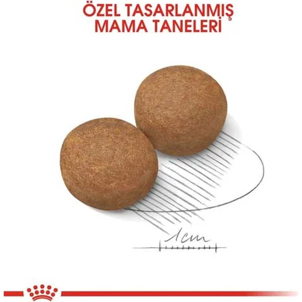 Maxi Adult Yetişkin Köpek Maması 15 kg - Resim 3