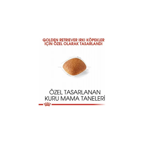 Royal Canin Golden Retriever Adult Yetişkin Köpek Maması 12 kg - Resim 2