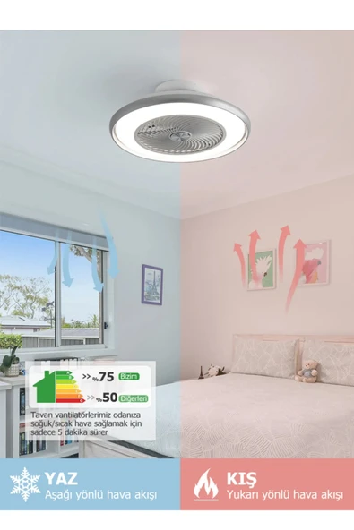 Dlc Araceli 56 Cm Gümüş Renk Tavan Vantilatörü - Resim 5