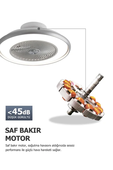 Dlc Araceli 56 Cm Gümüş Renk Tavan Vantilatörü - Resim 3