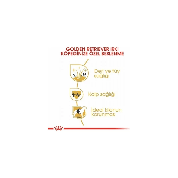 Royal Canin Golden Retriever Adult Yetişkin Köpek Maması 12 kg - Resim 3