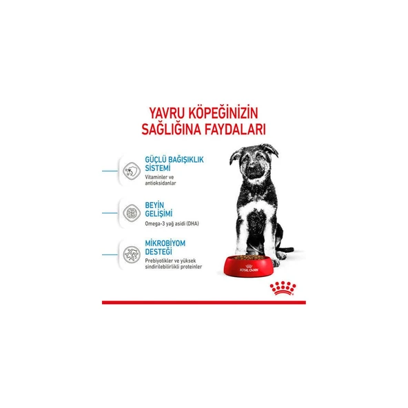 15kg Maxi Puppy Köpek Maması - Resim 5
