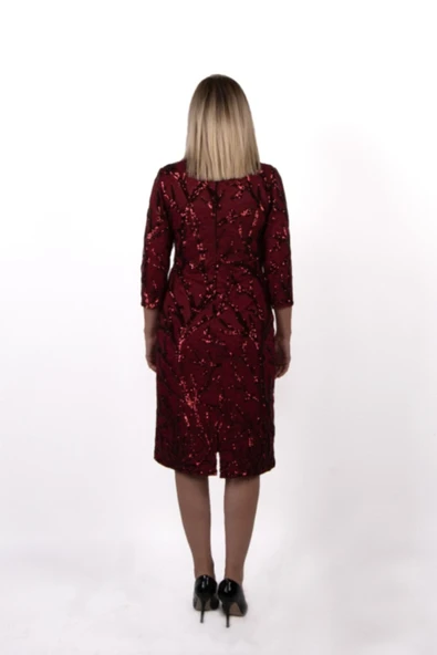 Ezze V Yaka Uzun Kollu Pullu Abiye Elbise 25YEZ3208 - Resim 3