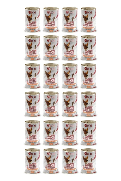 Roi Somonlu Yüksek Proteinli Yetişkin Köpek Konservesi 415 Gr x 24 Adet