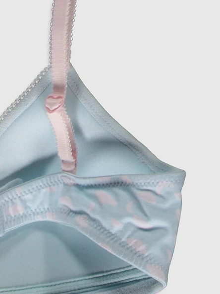 PEMBE-MAVİ BASKILI 2 Lİ SÜTYEN DS200022FB-2 - 3