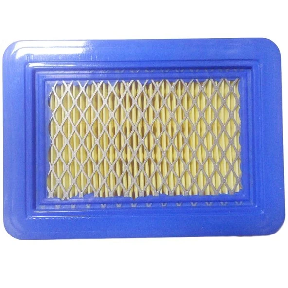 Mini Çapa Makinası Hava Filtresi P4000 - 2